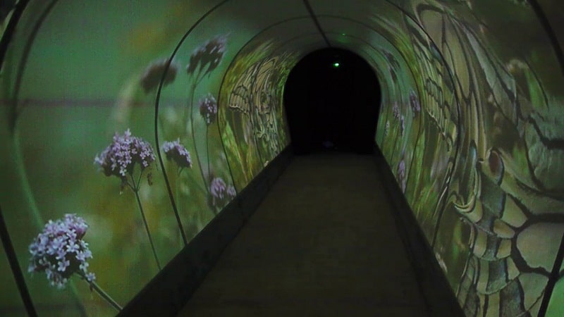 Tunnel with LED screens on the walls displaying purple flowers and a green field